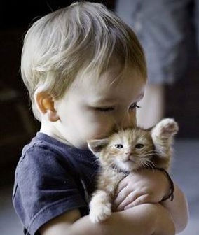 试管冻胚移植流程和子宫内膜准备方案-第三代试管婴儿百科