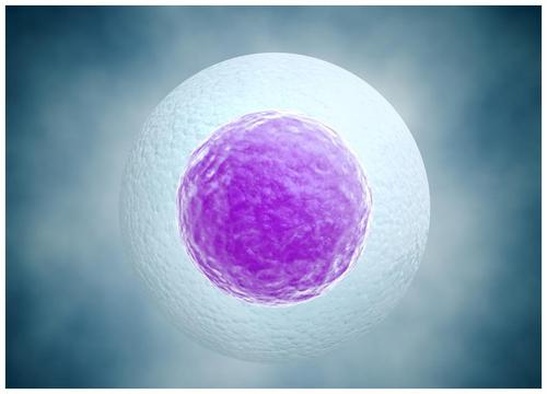 2025年琼海十大正规助孕机构排名公布，省心首选！